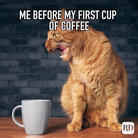coffee unniex|60 Funniest Coffee Memes Java Lovers Understand.
